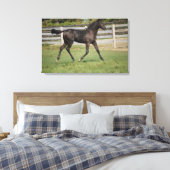 Mooi Paard dat door het veld loopt Canvas Afdruk (Insitu (Slaapkamer))