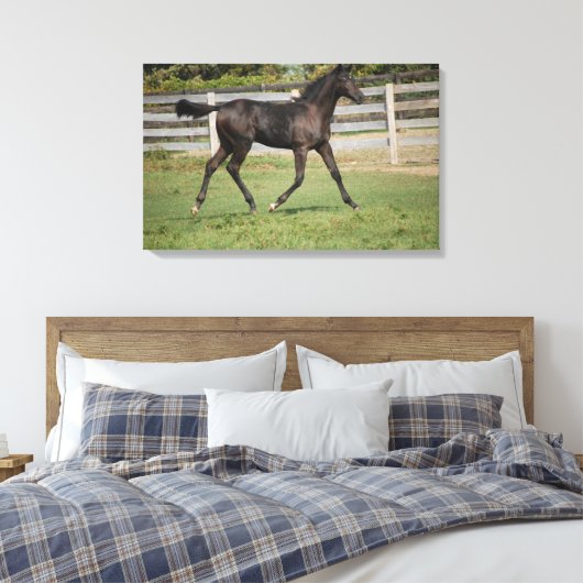 Mooi Paard dat door het veld loopt Canvas Afdruk (Insitu (Slaapkamer))