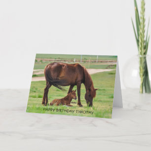 Mooi paard en veulen in een weiland kaart
