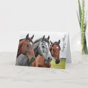 Mooi paard gepersonaliseerde verjaardag kaart