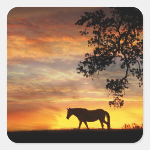 Mooi paard in een Fiery Sunset Sticker! Vierkante Sticker