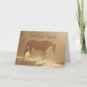 Mooi Paard in het Lichte Verlies van de Sympathie Kaart
