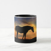 Mooi paard in het zuidwesten van Sky Mok (Midden)