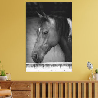Mooi paard in schuur zwart en wit canvas afdruk