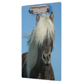 Mooi paard klembord (Links)