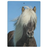 Mooi paard klembord (Achterkant)