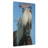 Mooi paard klembord (Rechts)