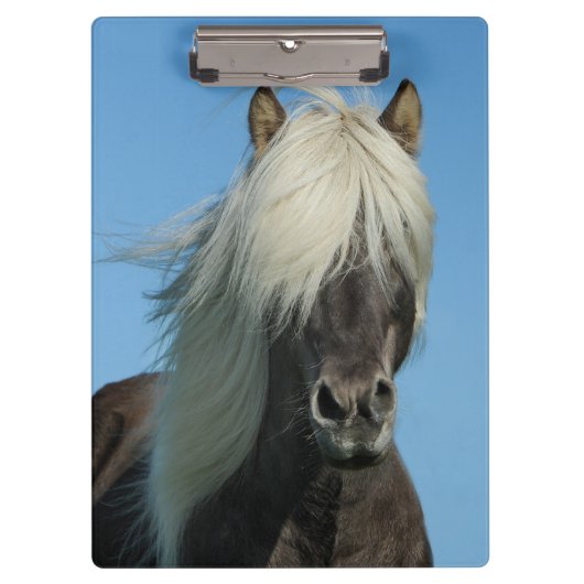 Mooi paard klembord (Voorkant)