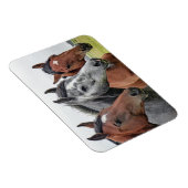 Mooi paard magneet (Rechterzijde)