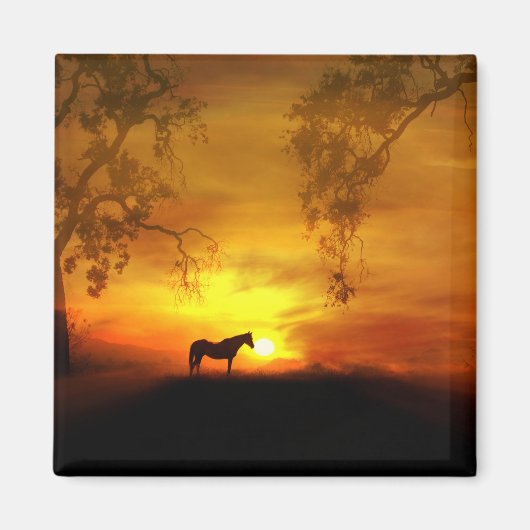 Mooi paard Magnet Magneet (Voorkant)