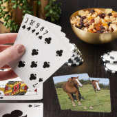 Mooi paard pokerkaarten (Insitu)