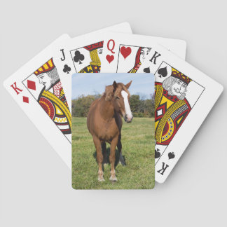 Mooi paard pokerkaarten