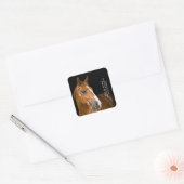 Mooi paard retour adres vierkante sticker (Envelop)