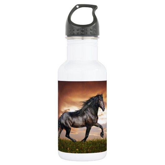 Mooi paard waterfles  (Voorkant)