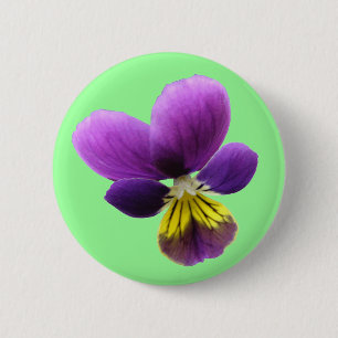 Mooi Penseelknopje Ronde Button 5,7 Cm