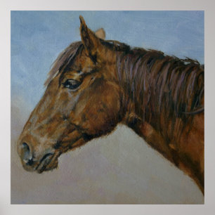Mooi portret van bruin paard poster