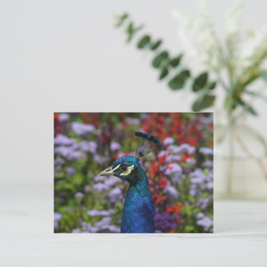 Mooi portret van Peafowl Briefkaart (Staand voorkant)