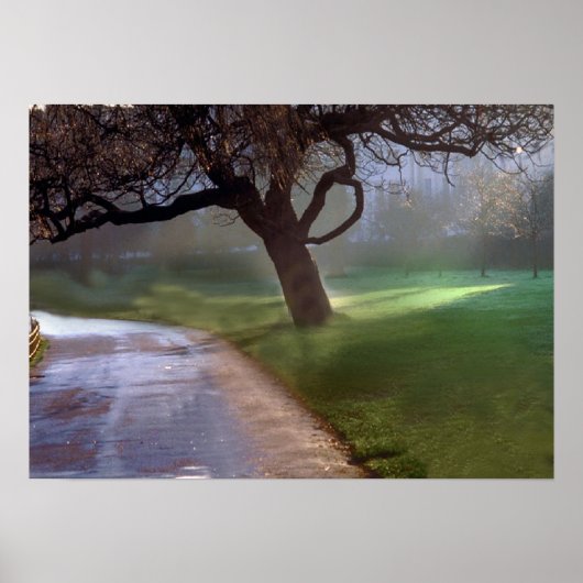 Mooi poster (Voorkant)