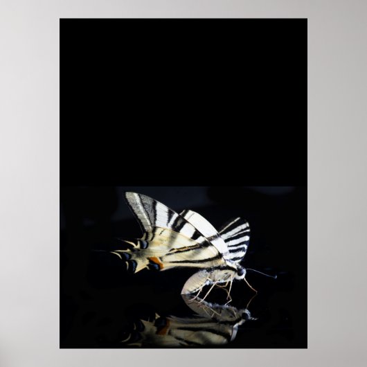 Mooi poster met vlinder (Voorkant)