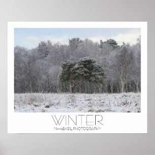 Mooi Poster van de winter!