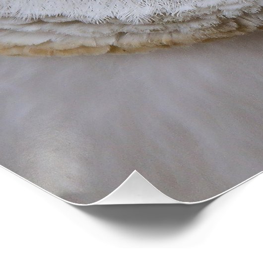 Mooi Poster van Owl Face Perfect Poster (Hoek)