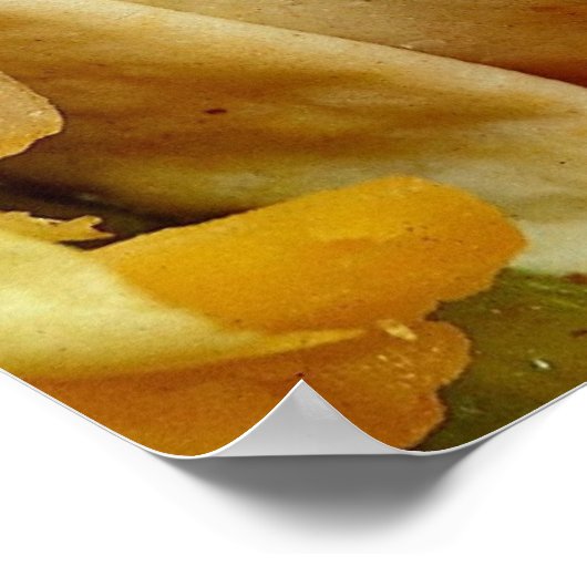 Mooi recept van Burrito voor liefhebbers van voeds Poster (Hoek)