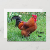 Mooi Rode Kip Profielfoto Bedankt Briefkaart (Voorkant / Achterkant)
