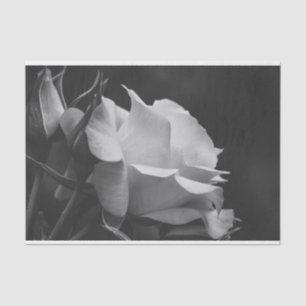 Mooi Roos en Rosebud zwart-witte bloem Tissuepapier