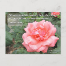 Mooi Roos in Bloom briefkaart w / Lincoln quote
