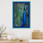 Mooi Royal Peacock Photo Poster (Keuken)