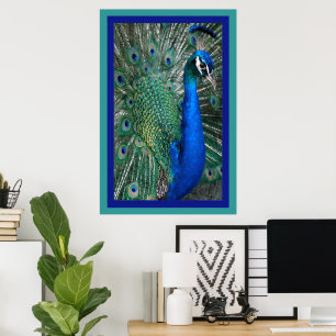 Mooi Royal Peacock Photo Poster