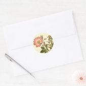 Mooi  Roze Rose Antiek Botanisch Ronde Sticker (Envelop)