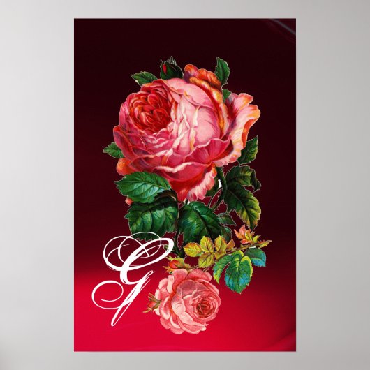 MOOI ROZE ROZEN MONOGRAM POSTER (Voorkant)