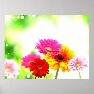 Mooi rustig zalig mooi bloemenlandschap poster