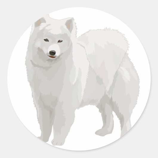 Mooi Samoyed Ronde Sticker (Voorkant)