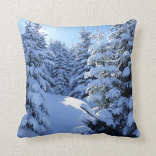 Mooi Schilderachtig Sierkussen