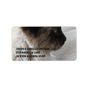 Mooi Siamees Kat Etiket