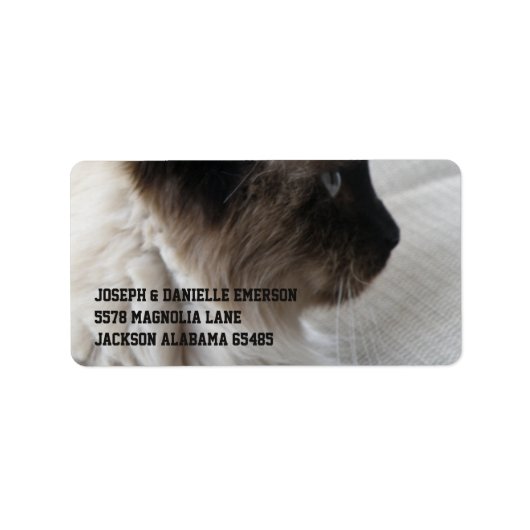 Mooi Siamees Kat Etiket (Voorkant)