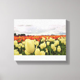 Mooi Tulp Field, Oregon Canvas Afdruk