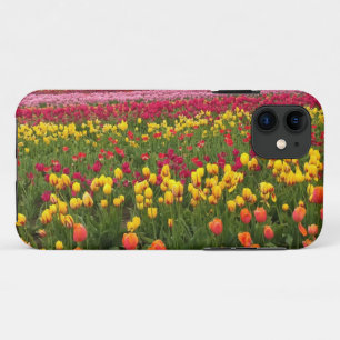 Mooi Tulp Field, Oregon iPhone 11 Hoesje