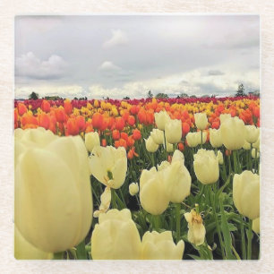 Mooi Tulp Field, Oregon Glazen Onderzetter