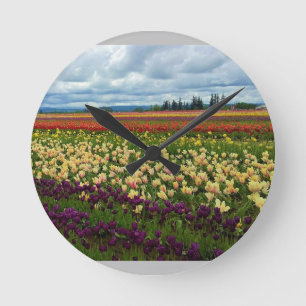 Mooi Tulp Field, Oregon Ronde Klok
