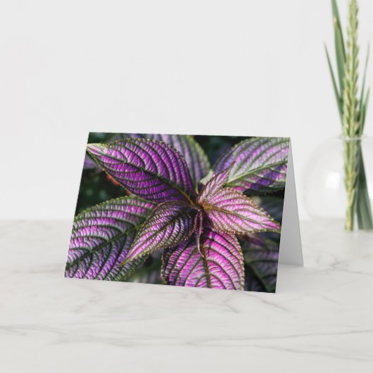 Mooi wenskaart kaart (Voorkant)