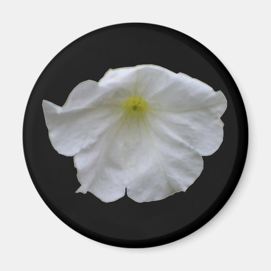 Mooi White Petunia Magnet Magneet (Voorkant)