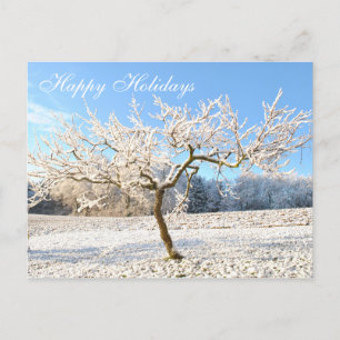 Mooi winterlandschap  sneeuwboom briefkaart