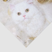 Mooi wit kat kerstmis tissuepapier (Detail)