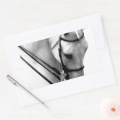 Mooi wit Paard hoofd Rechthoekige Sticker (Envelop)