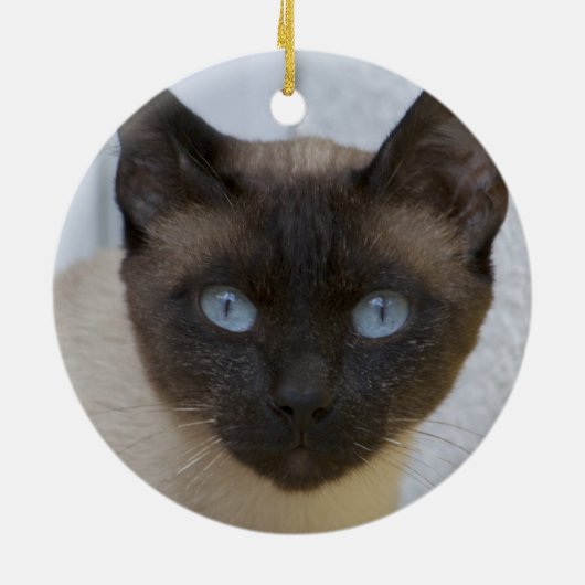Mooi zegel, Siamese kat Keramisch Ornament (Achterkant)