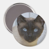 Mooi zegel, Siamese kat Magneet (Voorkant / Achterkant)