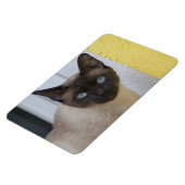 Mooi zegel, Siamese kat Magneet (Linkerzijde)